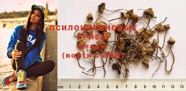 ALPHA PVP Остров