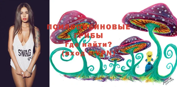 МДПВ Осинники