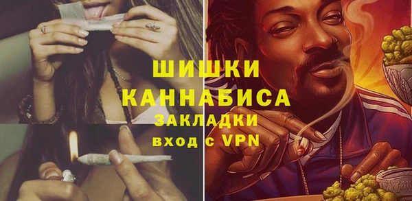 МДПВ Осинники