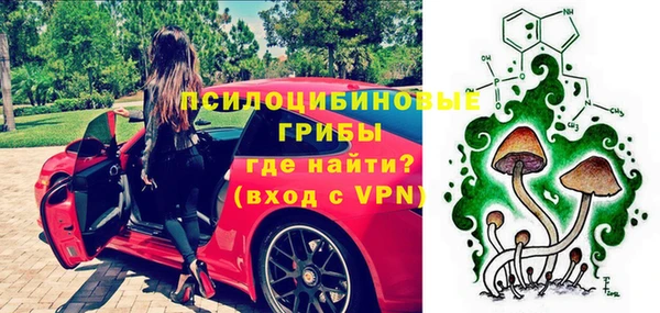 тгк Осташков