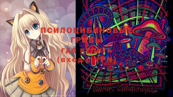 ALPHA PVP Остров