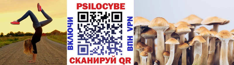 Галлюциногенные грибы прущие грибы  продажа наркотиков  Николаевск 